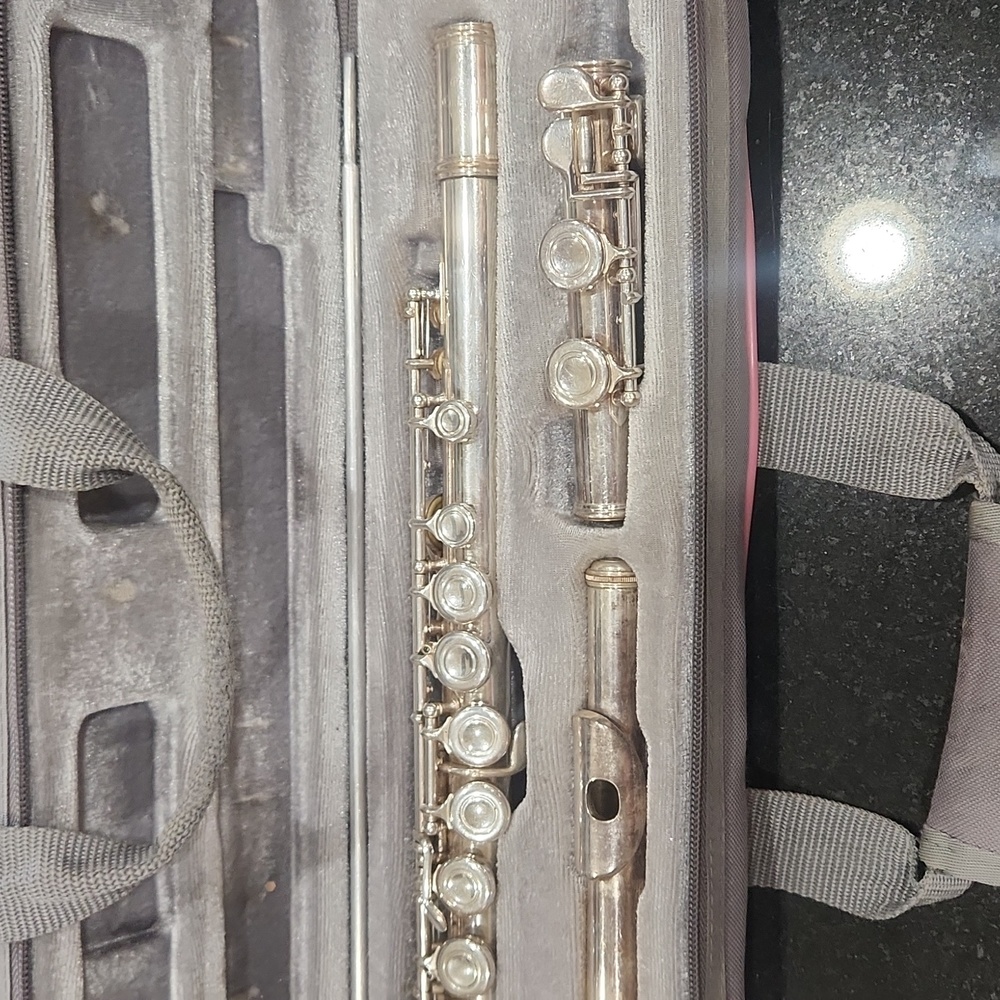 Emerson Flute 1 with case used